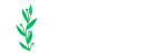 taze lezzet